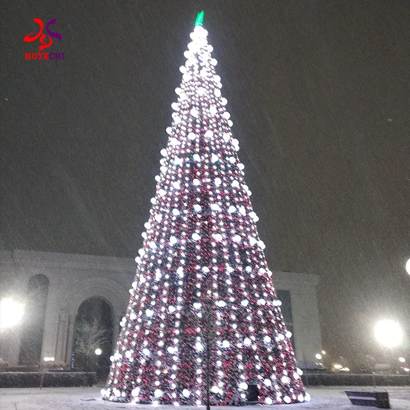 Kereskedelmi karácsonyi fenyőfák